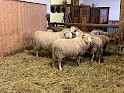 img_5046.jpg