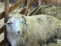 img_5047.jpg