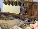 img_5048.jpg