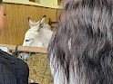 img_5049.jpg