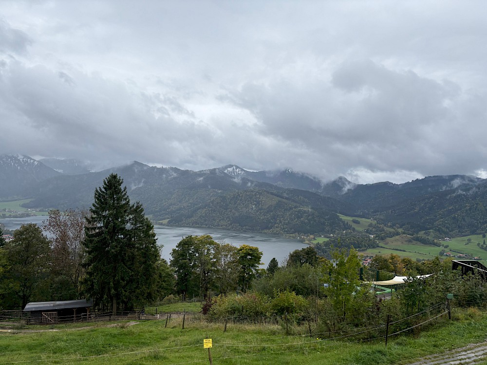 img_2242.jpeg