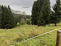img_2246_2.jpeg