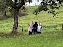 img_2252.jpeg