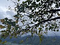 img_2260.jpg